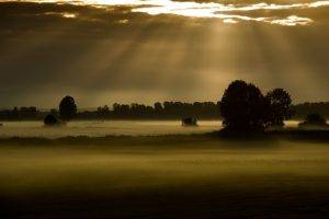 landscape, Trees, Mist, Nature, Sunlight, Sky, Clouds