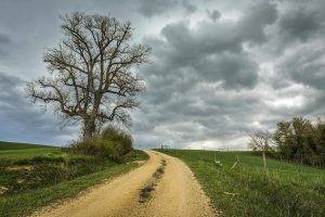 landscape, Trees, Nature, Clouds