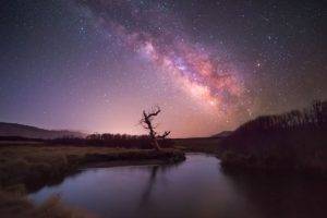 sky, Clouds, Landscape, Wildlife