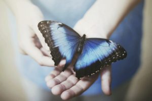 hand, Butterfly