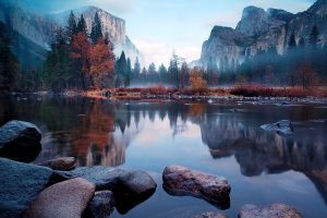 mist, Trees, River, Mountain