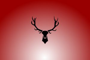 deer, Red