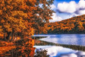 nature, Forest, River, Wood, Fall, Blue, Dead trees, Lake