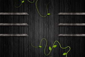 wall, Shelf, Leaves, Wood, Black, 3D desktop