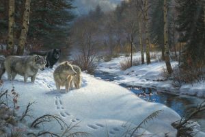 Mark Keathley,  Valley of Shadows, Wolf, Forest, Winter, Snow, Painting