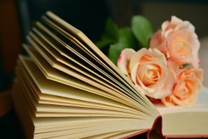 books, Rose, Leaves, Bokeh