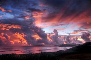 plants, Landscape, Clouds, Nature, Sky, Sunlight