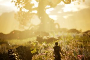 Hellblade, Video games, PlayStation 4, Consoles, Depth of field