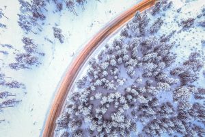 winter, Pine trees, Snow, Road, Forest, Cold