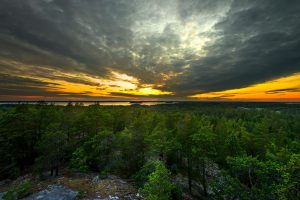 sky, Sunlight, Nature, Clouds, Trees