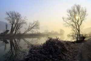 nature, Landscape, Water, Trees, Winter