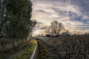 sky, Landscape, Trees, Dirt road