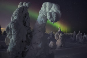 snow, Winter, Sky, Night, Nature