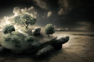 nature, Trees, Turtles, Elephants, Photomanipulations