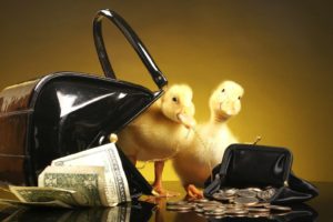 ducks, Money