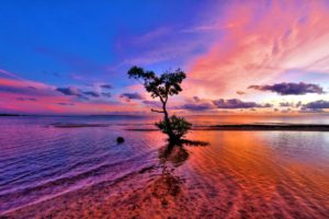 water, Sunset, Clouds, Landscapes, Nature, Coast, Trees, Skyscapes