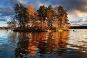 lake, Trees, Autumn, Fall, Reflection