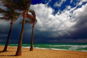 sea, Clouds, Beach, Palm, Trees, Landscape, Ocean