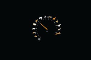 minimalistic, Speedometer