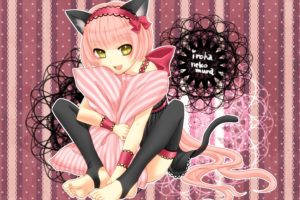 vocaloid, Nekomimi, Animal, Ears, Cat, Ears, Anime, Girls, Nekomura, Iroha