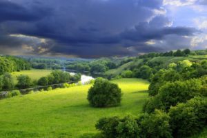 trees, River, Sky, Clouds