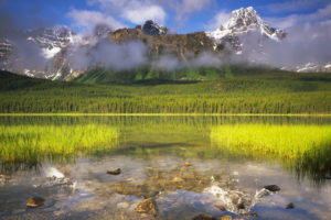 landscapes, Reflection, Trees, Forest, Woods, Mountains, Fog, Clouds, Sky