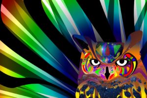 abstract, Owls