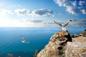 crimea, The, Black, Sea, Gulls, Rocks, Clouds