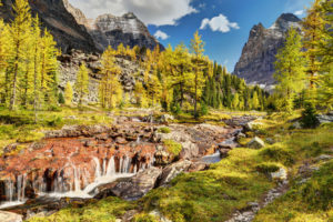 landscapes, Rivers, Mountains, Trees, Forest, Woods, Hdr, Sky, Clouds