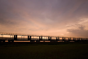 landscapes, Tracks, Sunset, Sunrise, Sky, Clouds