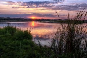 nature, Landscapes, Lakes, Reflection, Sky, Clouds, Reeds, Sunset, Sunrise