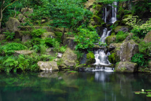 waterfall, Jungle, Forest, Pond, Trees, Reflection