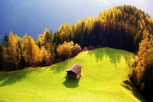 beautiful, Landscape, Grass, Tree, Forest, House