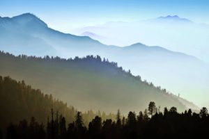 landscape, Nature, Tree, Forest, Woods, Mountains, Haze, Fog