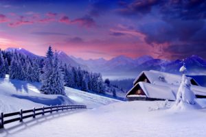 nature, Hut, Forest, Snow, Winter, Trees, Cabin