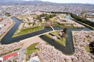 goryokaku, Sakura, Spring, Flower, Tree, Nature, City