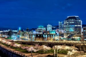 usa, Houses, Bridges, Roads, Flowering, Trees, Night, Street, Lights, Portland, Cities