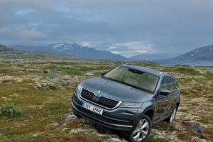 skoda, Kodiaq, Cars, Suv, 4×4, Cars, 2016