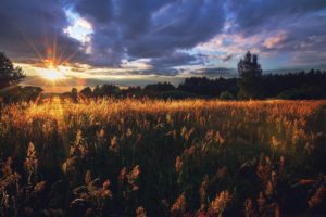 russia, Landscape, Sun, Rays, Field, Sunset