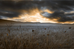 clouds, Landscapes, Flowers, Fields, Digital, Art, Artwork, Poppy