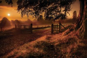 nature, Landscapes, Roads, Fields, Path, Fence, Gate, Trees, Grass, Sunset, Sunrise, Sunlight, Color, Fog, Mist, Haze, Sky, Clouds, Leaves, Sun, Morning, Scenic