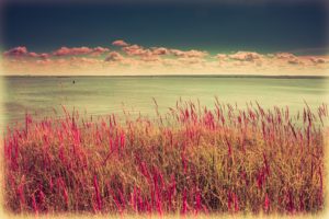 kazan, Russia, Nature, Water, Smooth, Surface