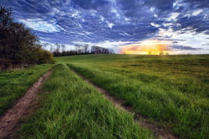 roads, Fields, Grass, Sky, Clouds, Sunset, Sunrise, Hdr