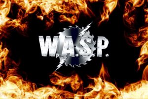 wasp, Heavy, Metal,  26