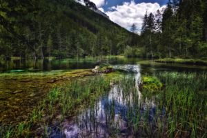 austria, Mountains, River, Forest, Scenery, Nature