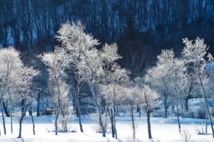 hiver, Neige, Montagne, Snow, Nature, Landscapes, Frozen, Winter, Wallpapers