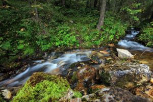 river, Stream, Trees, Rocks, Vomp, Austria, Tyrol