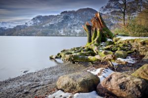 lake, Summer, Tree, Stump, Nature, Landscape, Beaches, Mountains