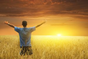 men, Males, Mood, Sunset, Sunrise, Landscapes, Fields, Grass, Wheat, Sky