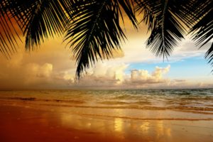 nature, Landscape, Sky, Clouds, Sunset, Sand, Beach, Reflection, Ocean, Trees